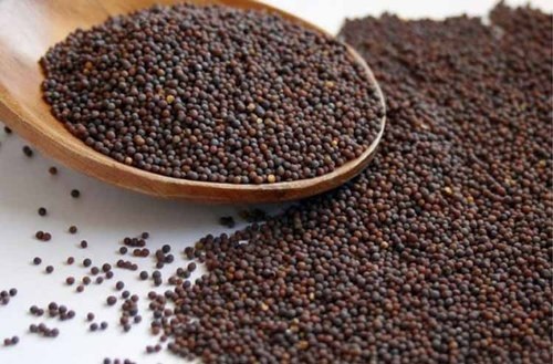 Red Mustard Seed / Sarsoo (Loose) 100gm