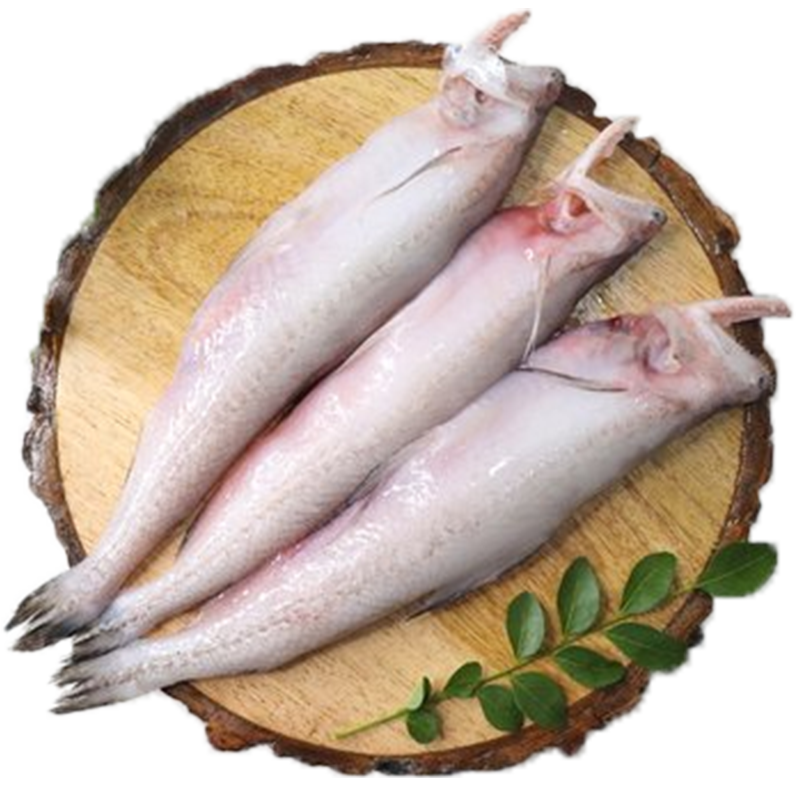 Bombay Duck/ Lote