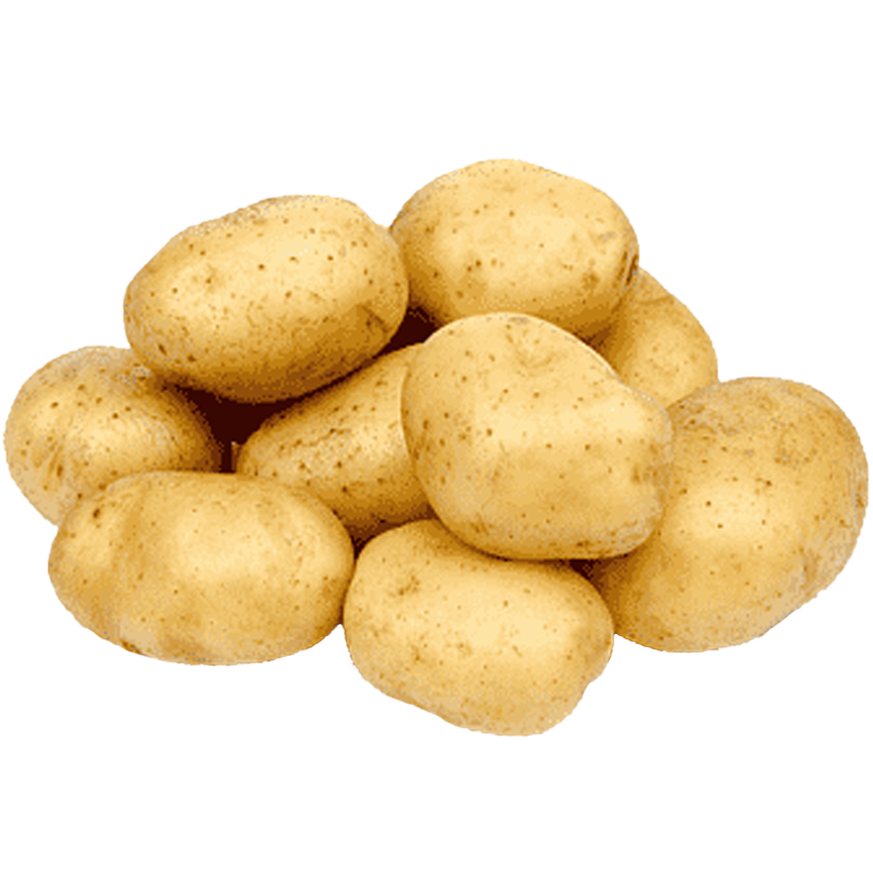 Chandramukhi potato