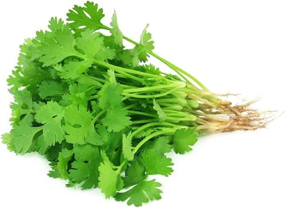 Coriander Leaves/ Dhania paata