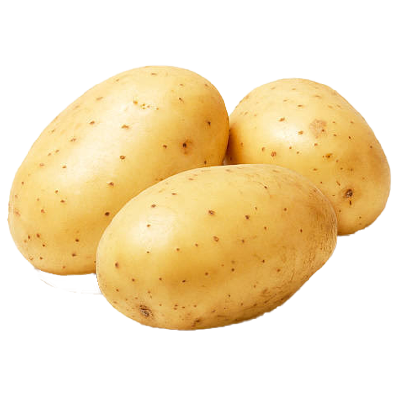 Jyoti potato
