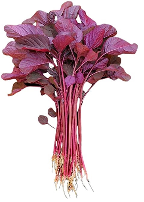 Red Amaranth / Note Shak (Lal)/  Lal Chaulai 1 bunch