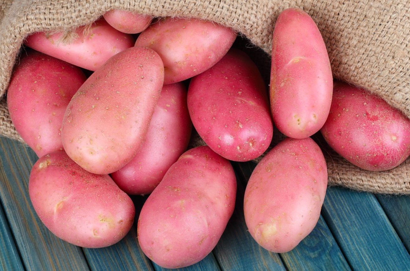Sweet Potato/Red Potato
