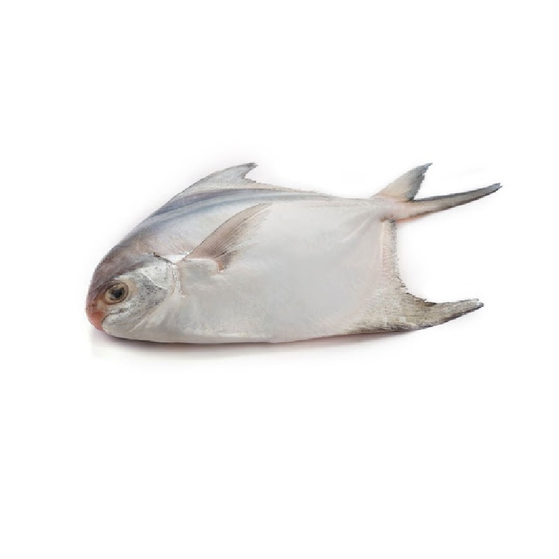Roopchanda/Chinese pomfret fish - whole cleaned