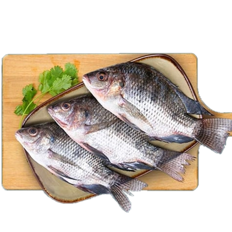 Tilapia fish - Whole cleaned