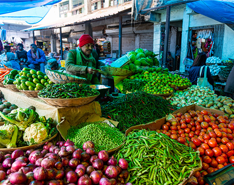 fresh grocery direct from market